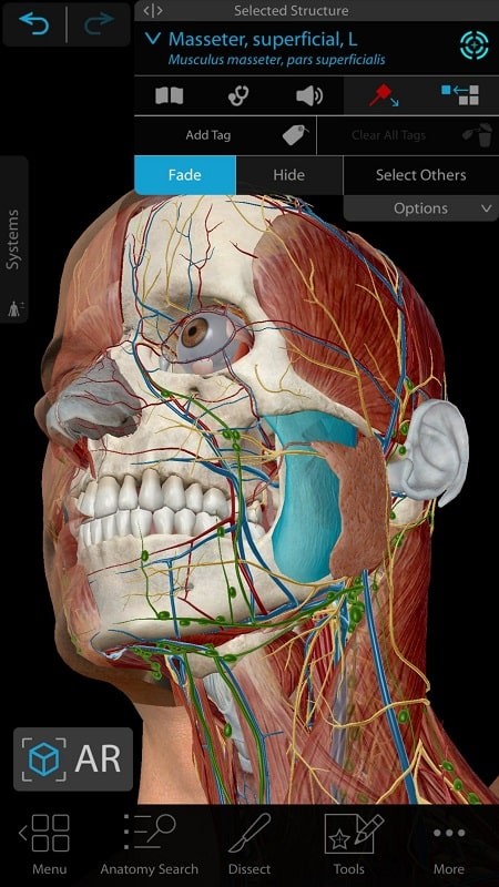 Human Anatomy Atlas 2021 1