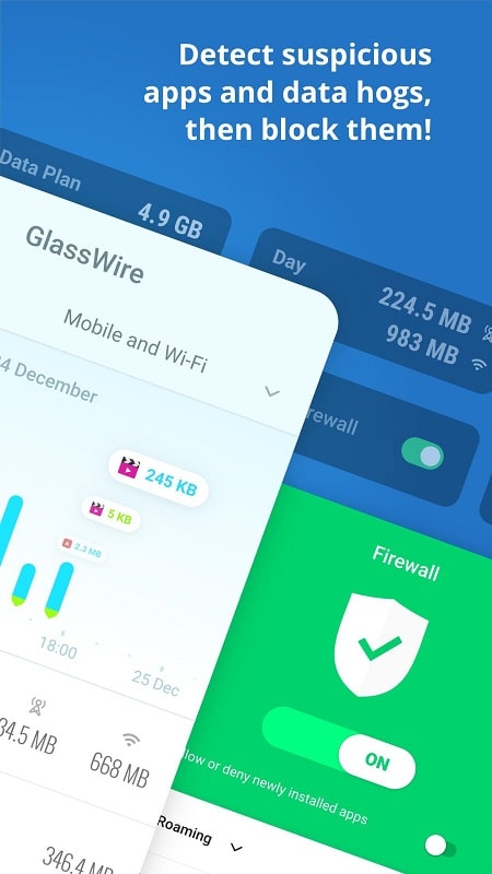 Glasswire Data Usage Monitor 3