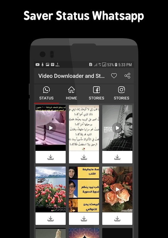 Video Downloader And Stories 2