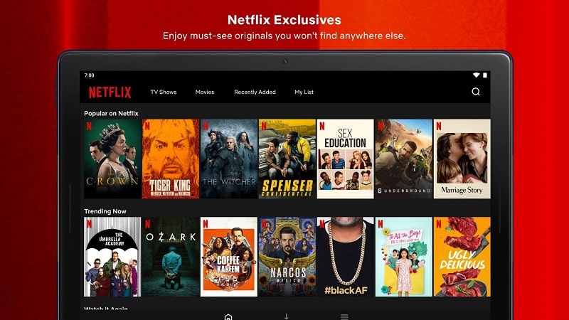 Netflix Mod 1