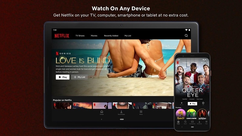 Netflix Mod 2