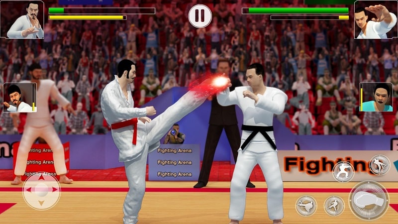 Karate Fighting 3